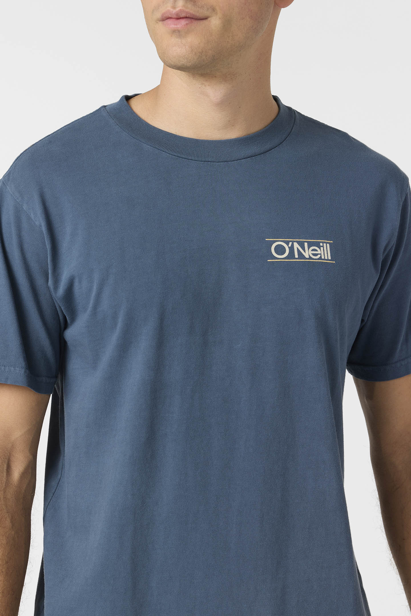 O’Riginals Parallel Lines Relaxed Fit Tee - O'Neill Clothing