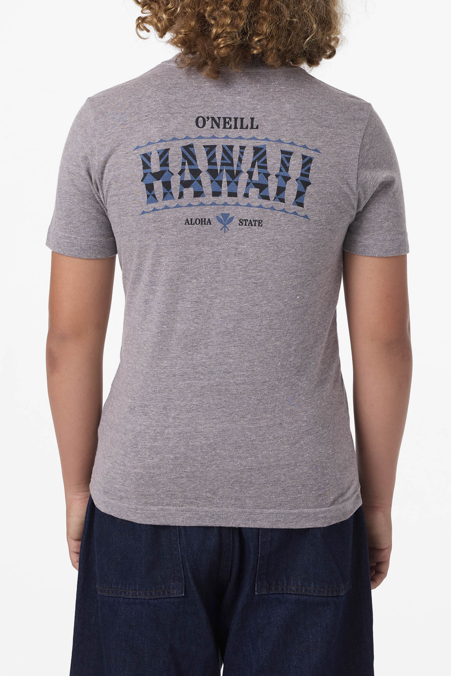 Boy’s Hawaii Arch Tee - O'Neill Clothing