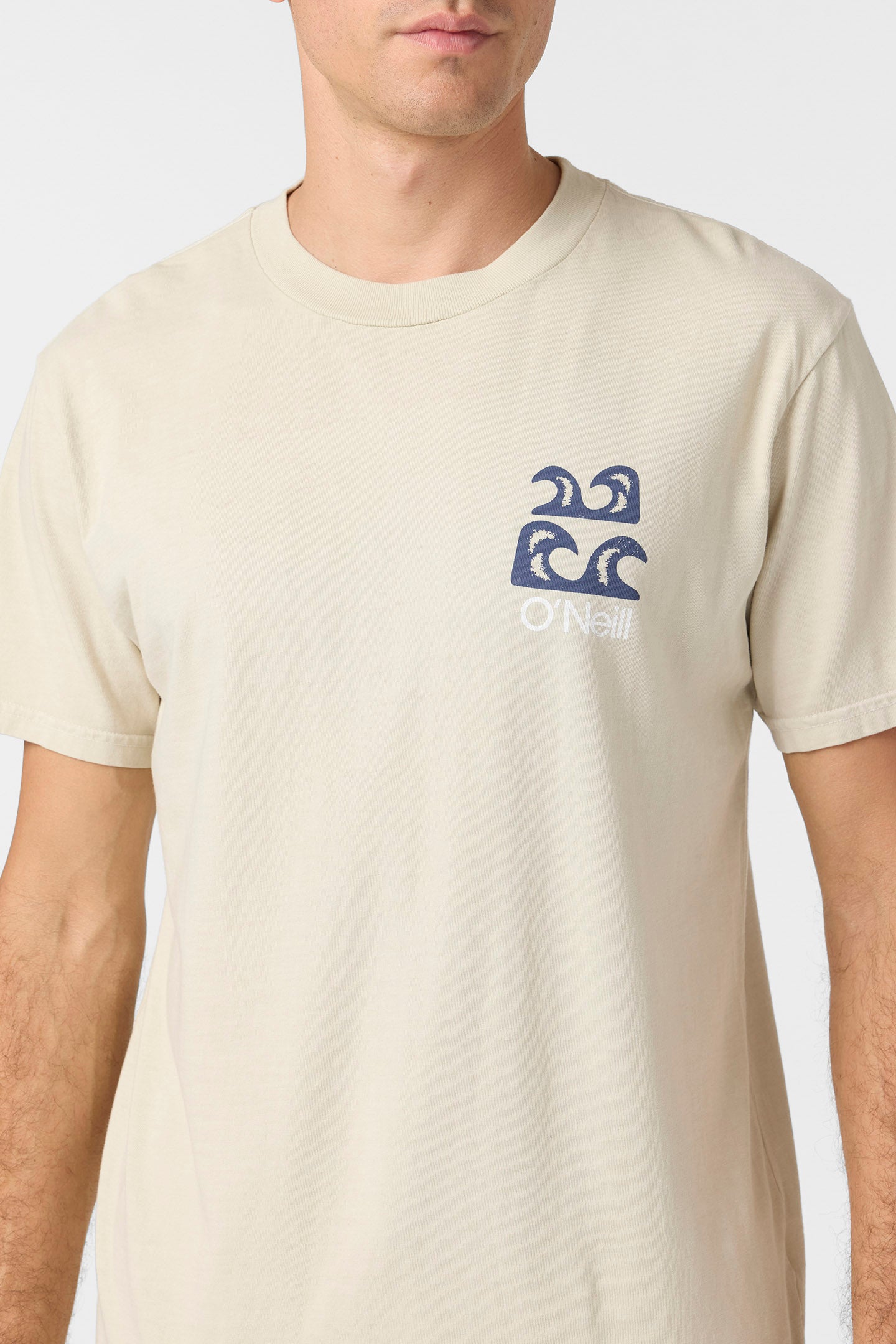 O’Riginals Scenic Relaxed Fit Tee - O'Neill Clothing