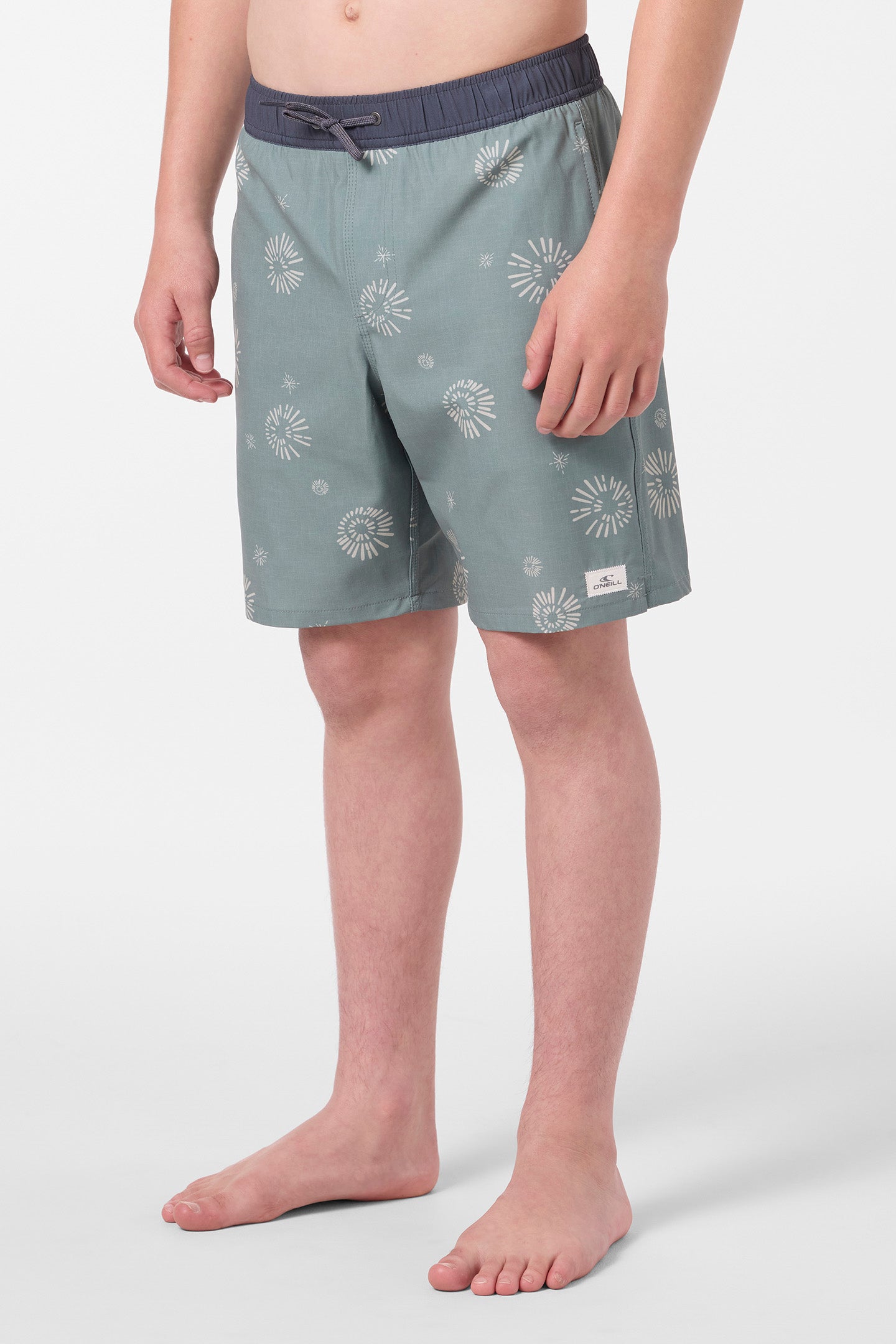 Boy’s Hermosa Elastic Waist Lined 16 Swim Trunks - O'Neill Clothing