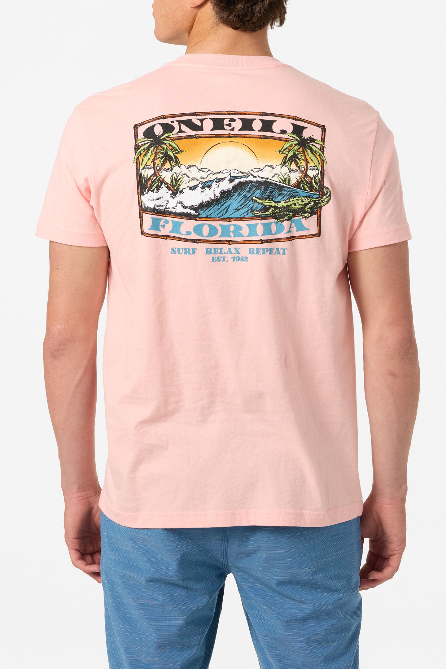 Coastal Standard Fit Tee - O'Neill Clothing