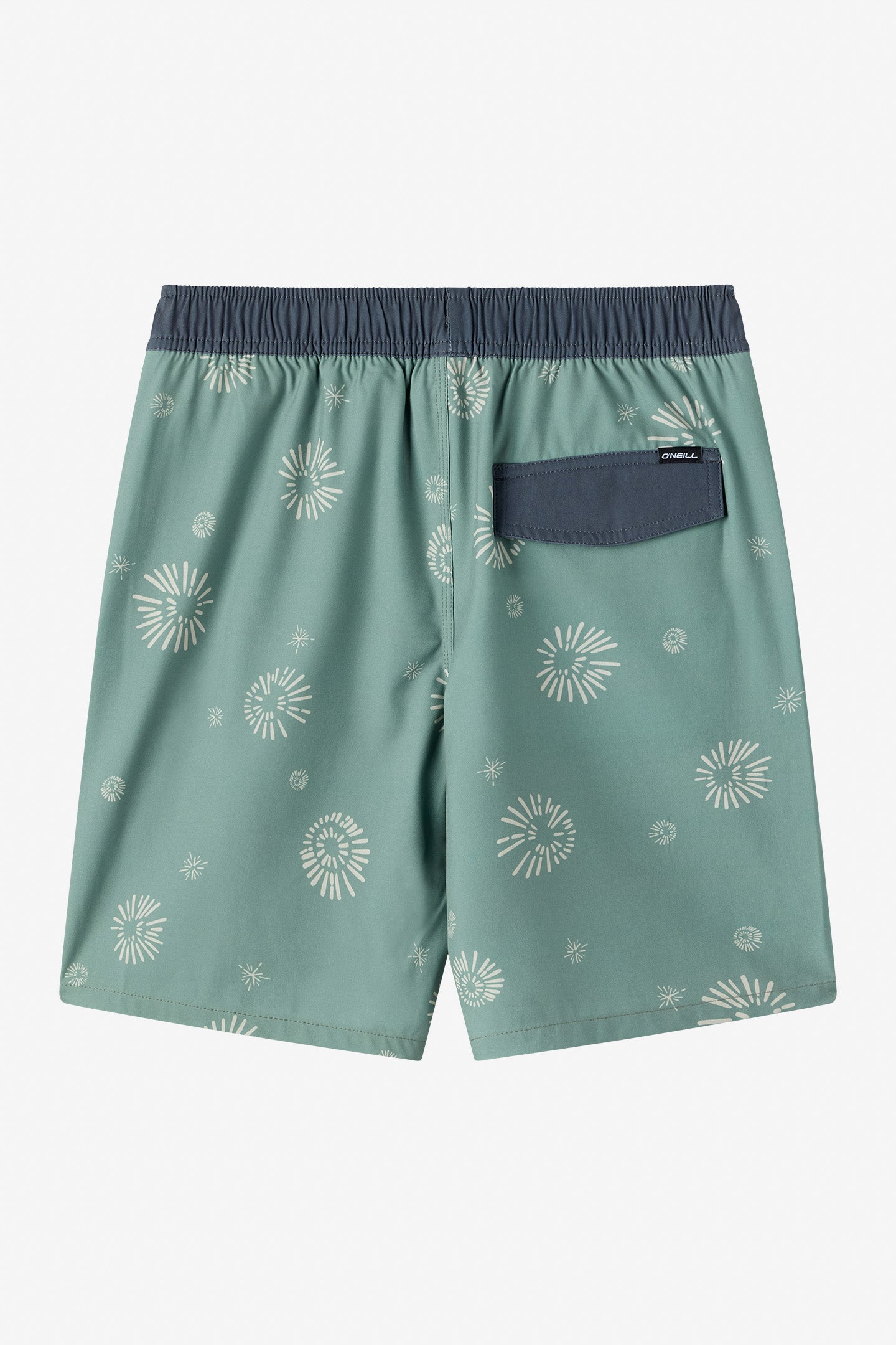 Boy’s Hermosa Elastic Waist Lined 16 Swim Trunks - O'Neill Clothing
