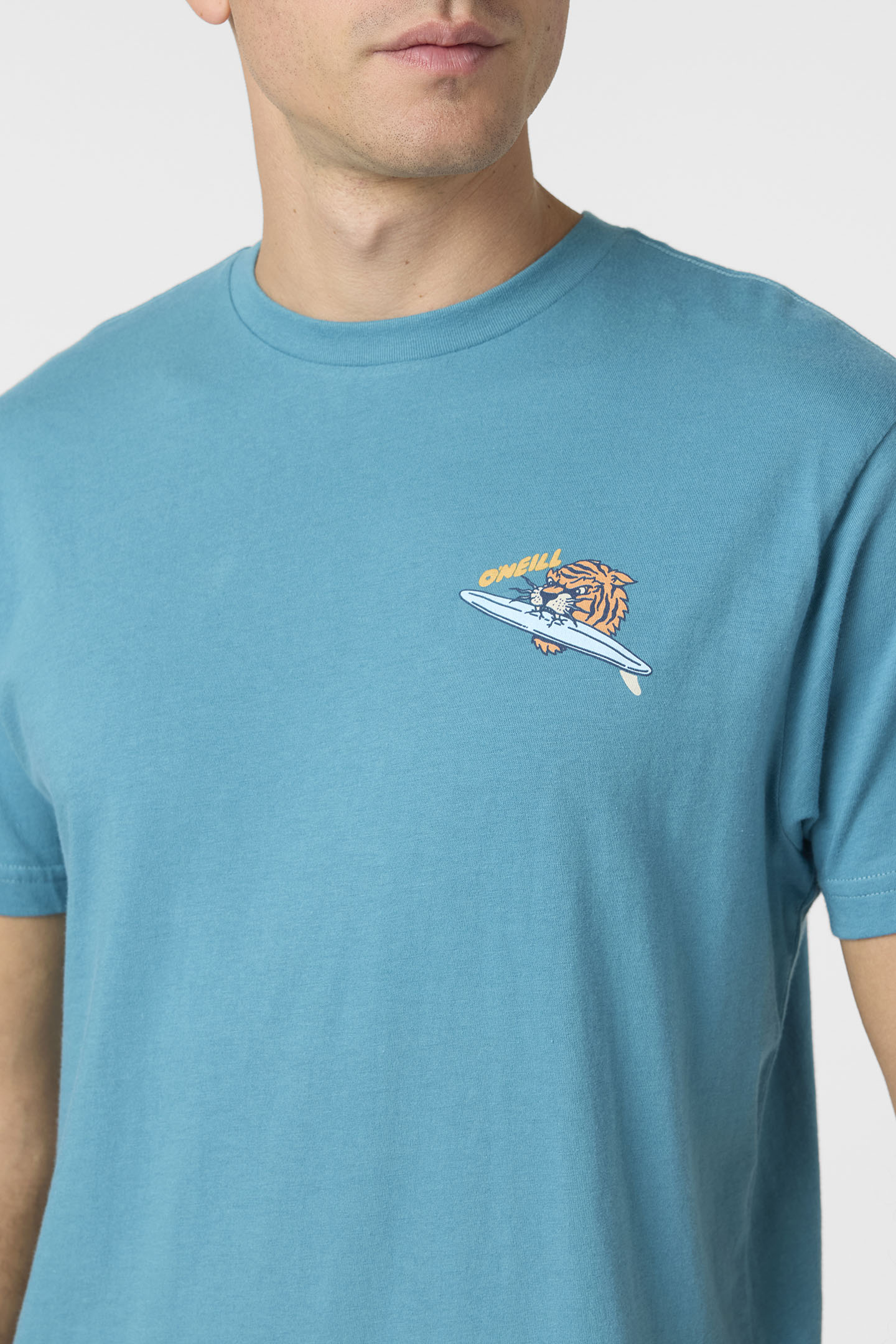 Bad Cat Standard Fit Tee - O'Neill Clothing