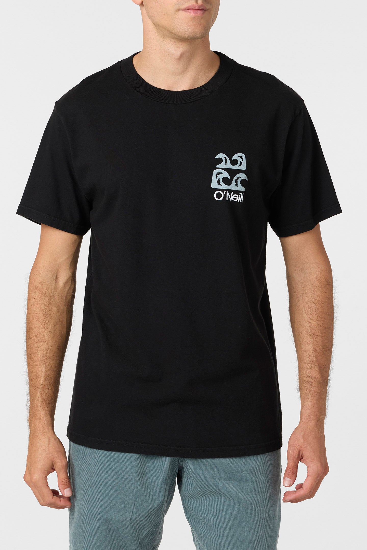 O’Riginals Scenic Relaxed Fit Tee - O'Neill Clothing