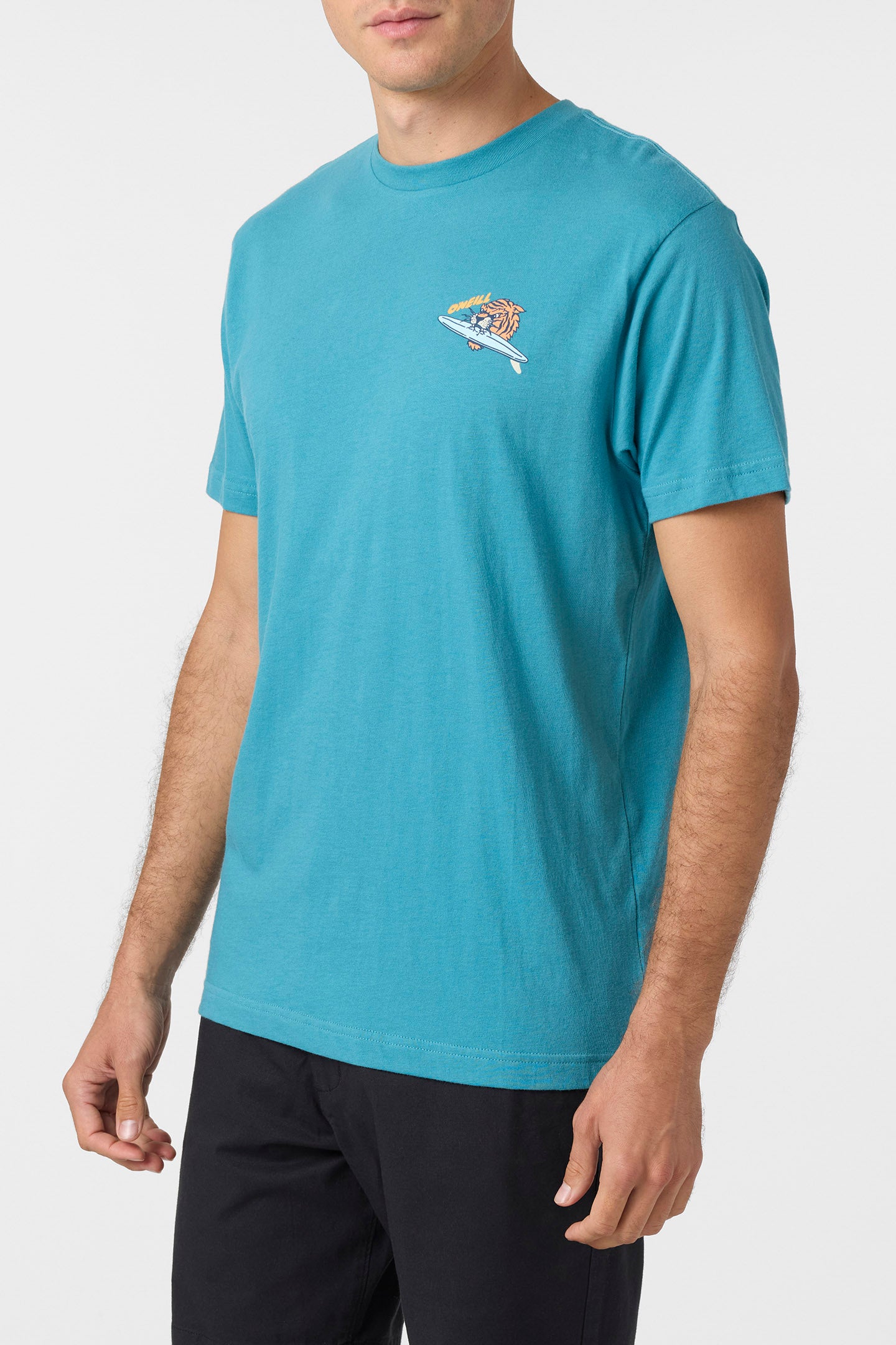 Bad Cat Standard Fit Tee - O'Neill Clothing