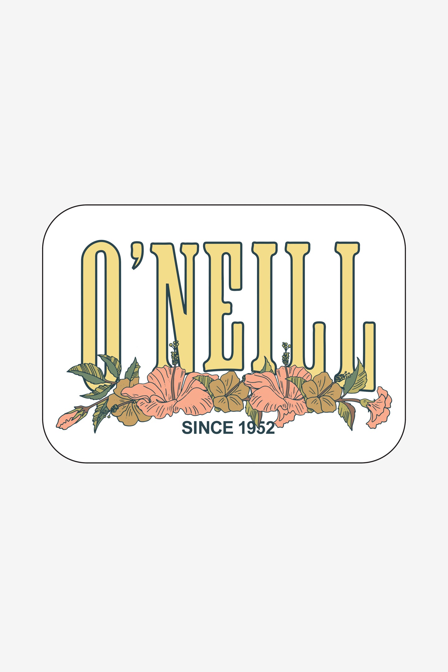 Palm Vibes Sticker Pack - O'Neill Clothing