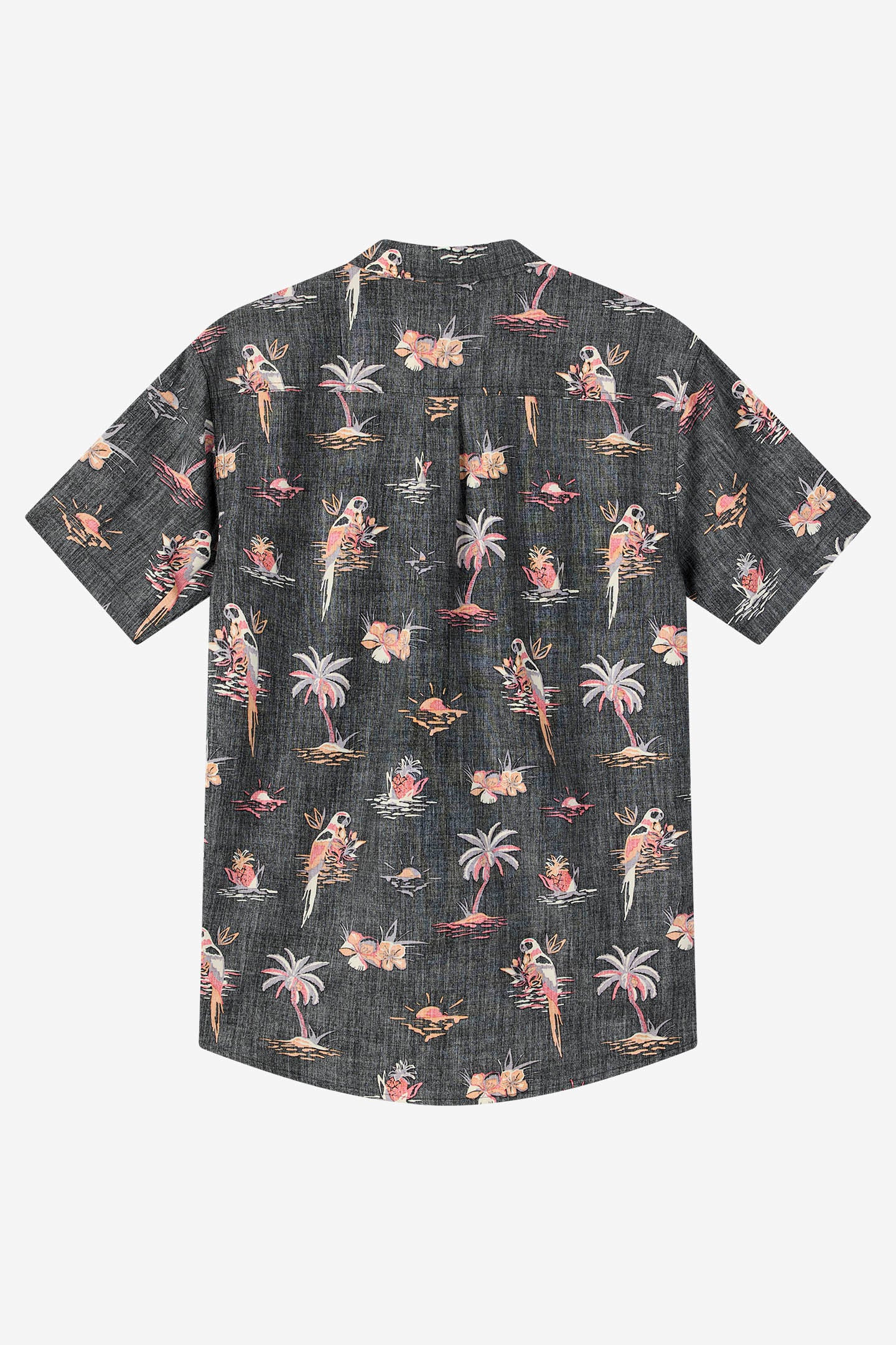 Oasis Standard Fit Shirt - O'Neill Clothing