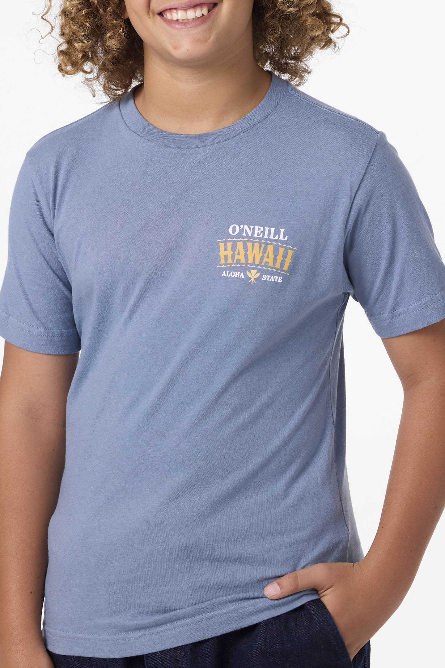 Boy’s Hawaii Arch Tee - O'Neill Clothing