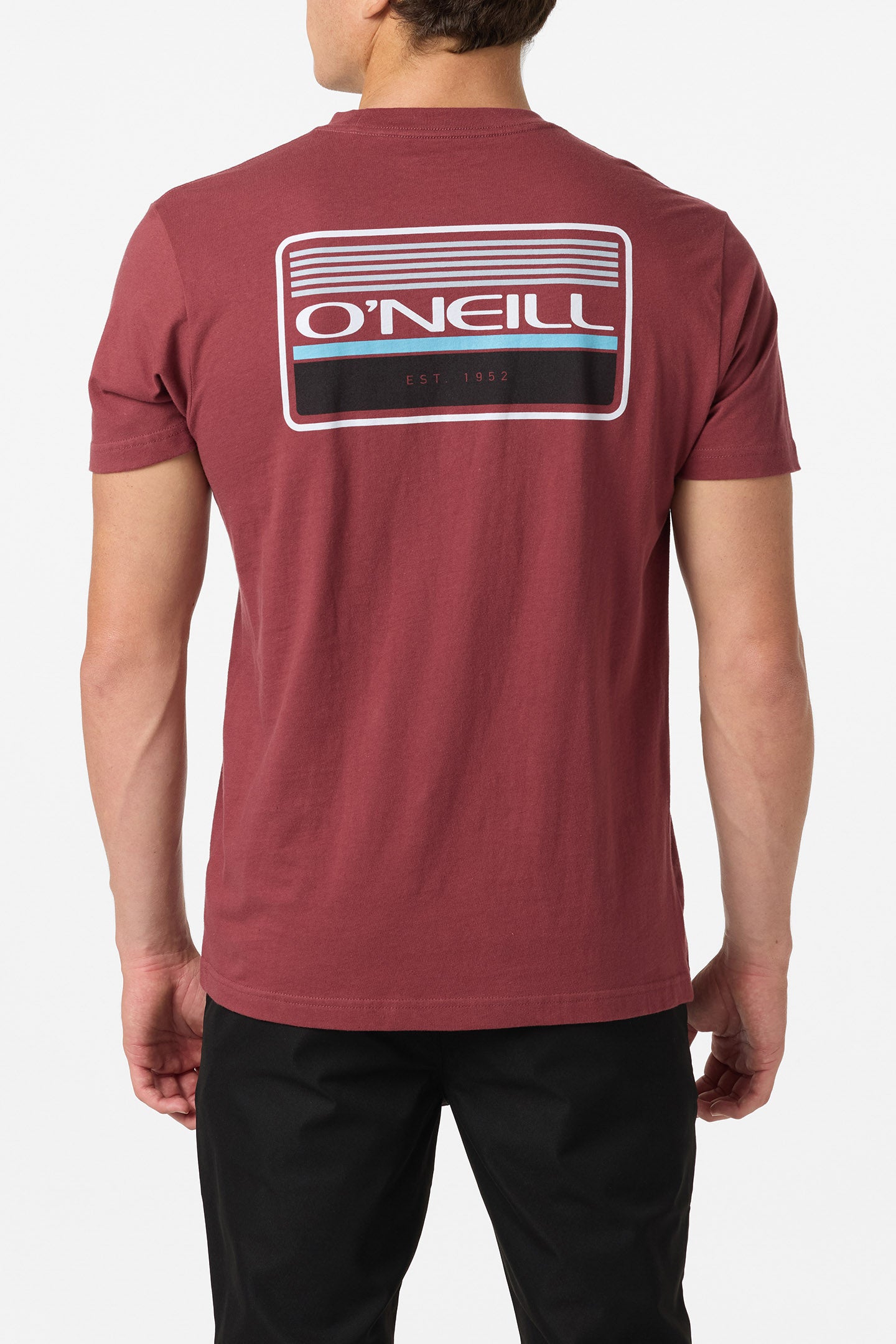 Banner Standard Fit Tee - O'Neill Clothing