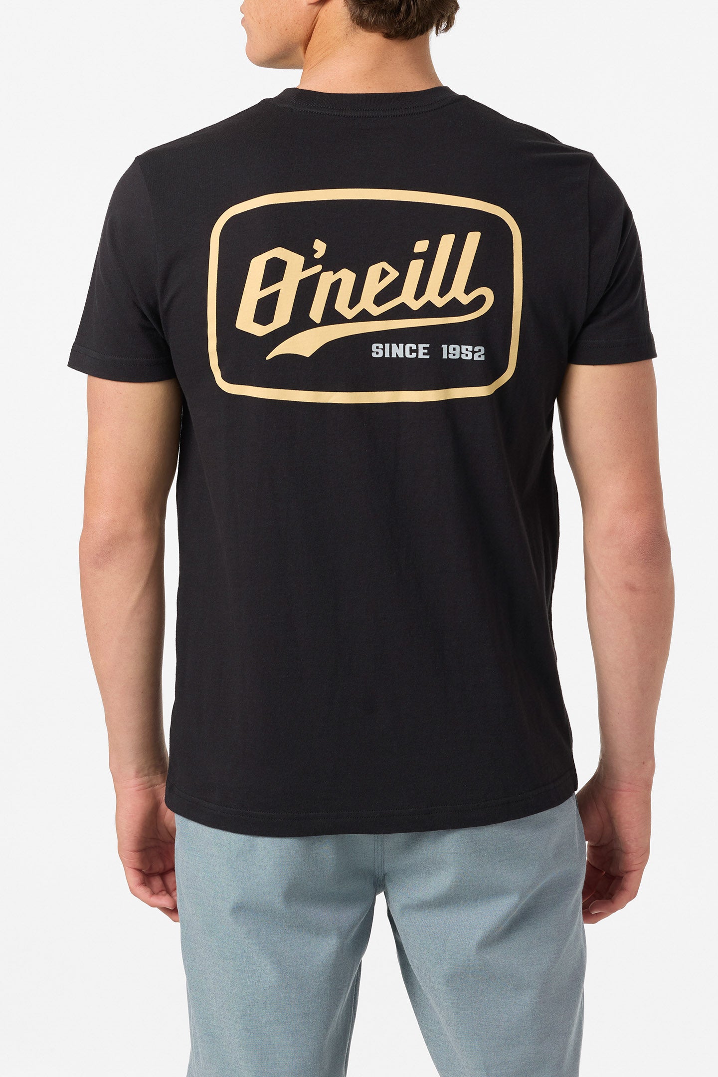 Swashbuckler Standard Fit Tee - O'Neill Clothing