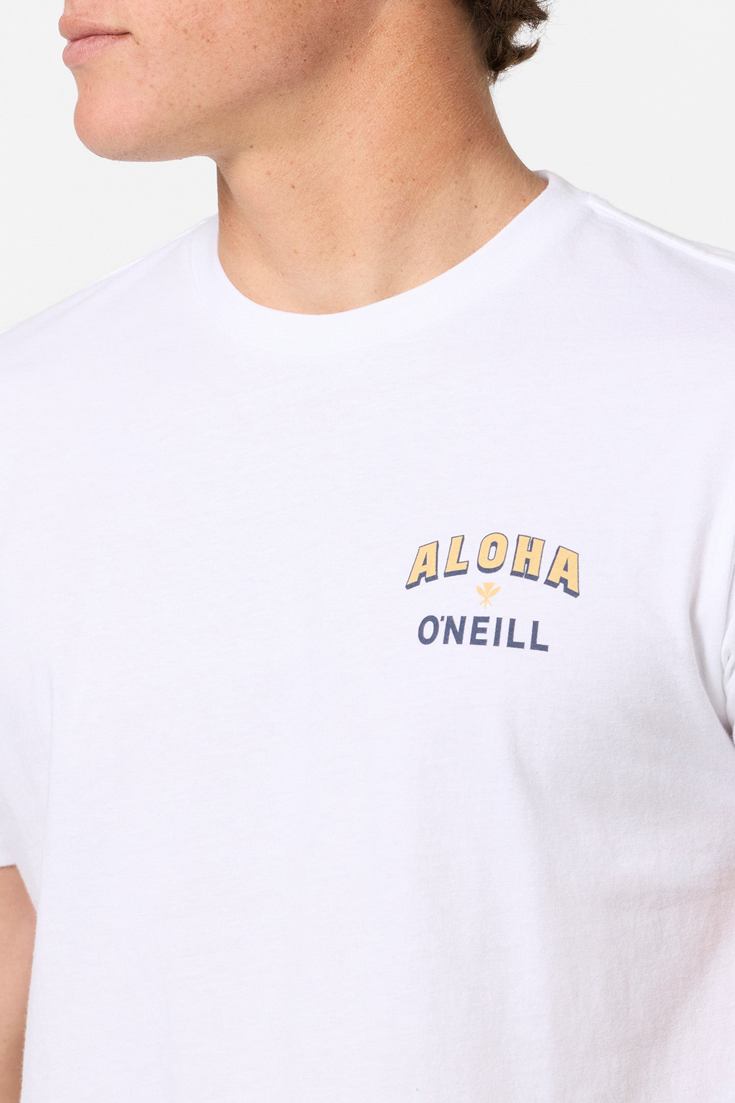 Hawaii Aloha Standard Fit Tee - O'Neill Clothing