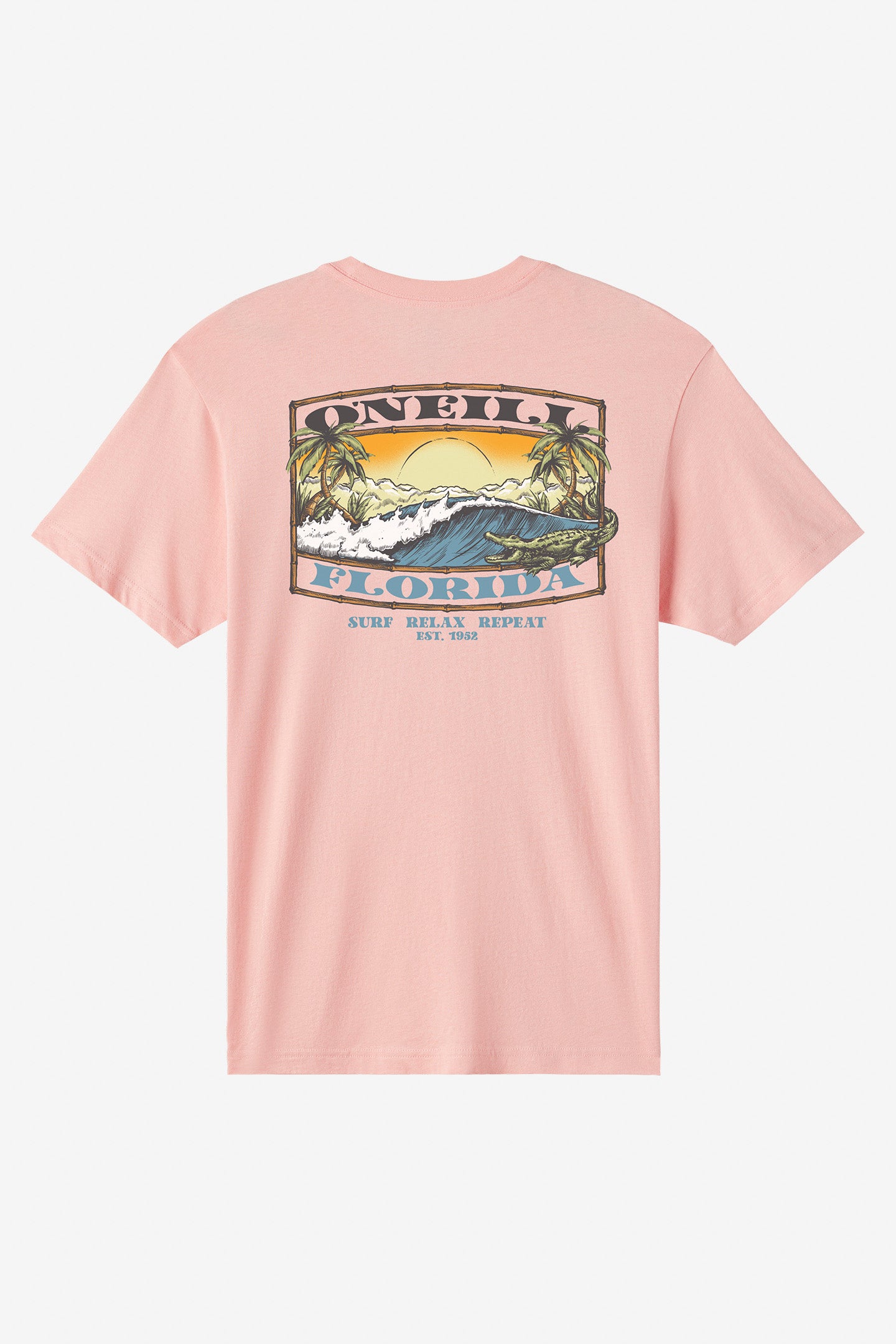 Coastal Standard Fit Tee - O'Neill Clothing