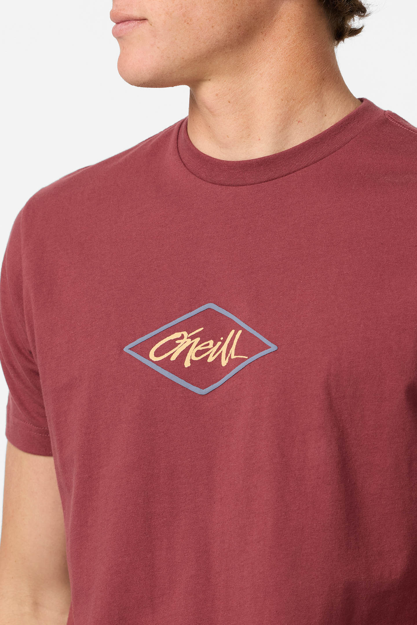Diamond Standard Fit Tee - O'Neill Clothing
