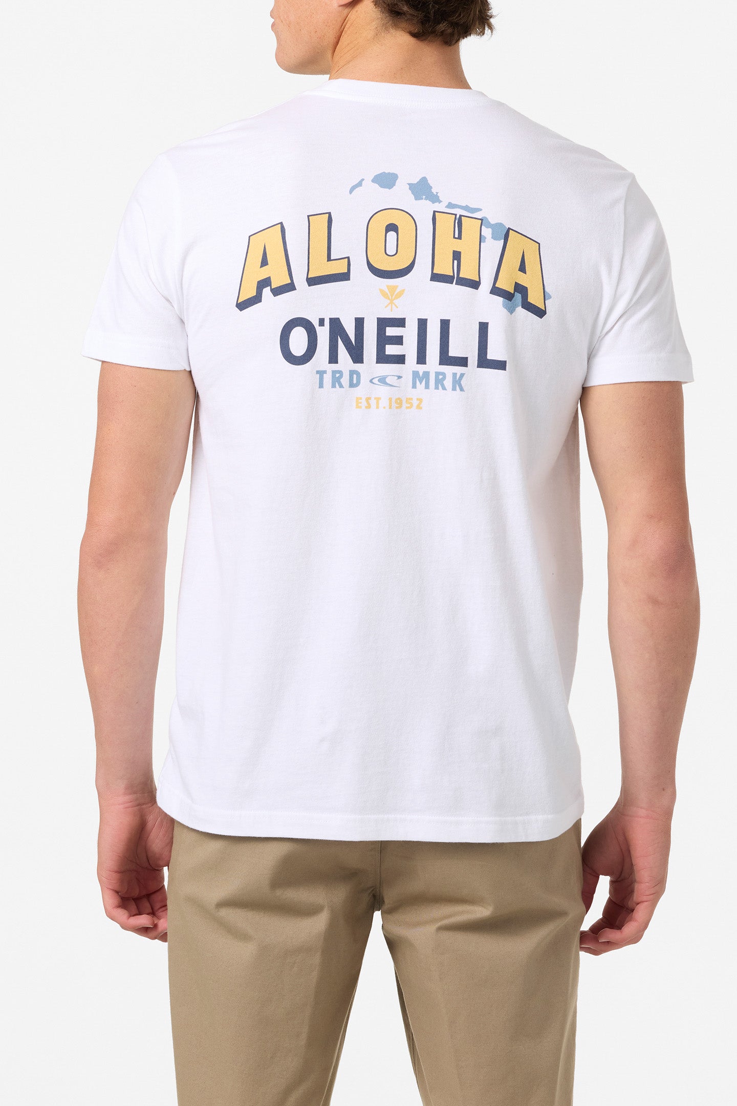 Hawaii Aloha Standard Fit Tee - O'Neill Clothing