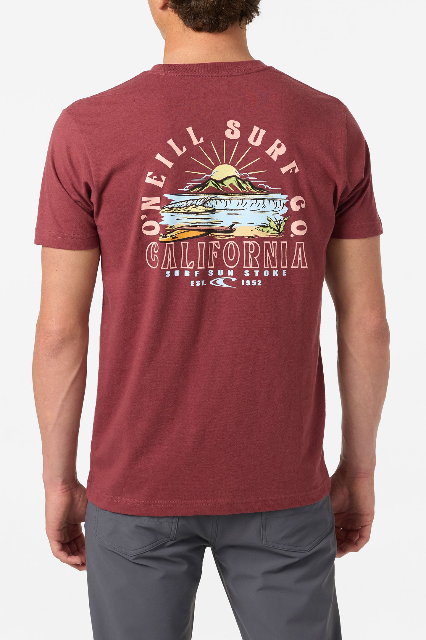 Surf. Sun. Stoke Standard Fit Tee - O'Neill Clothing