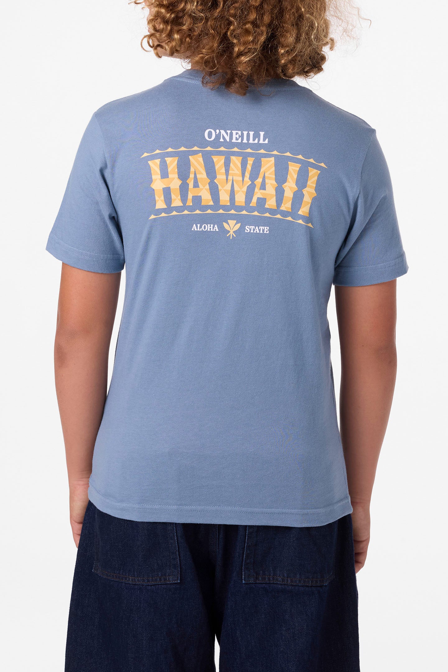 Boy’s Hawaii Arch Tee - O'Neill Clothing