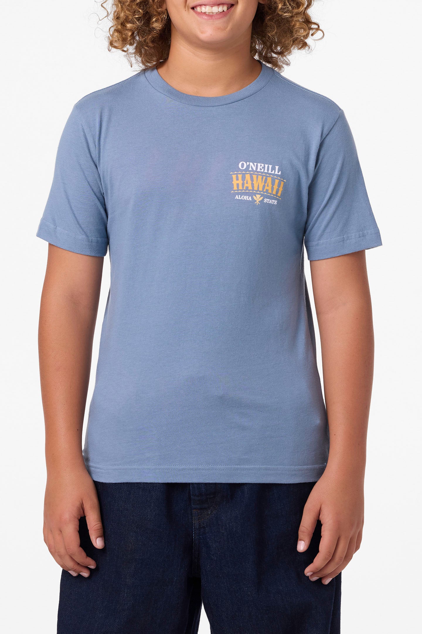 Boy’s Hawaii Arch Tee - O'Neill Clothing