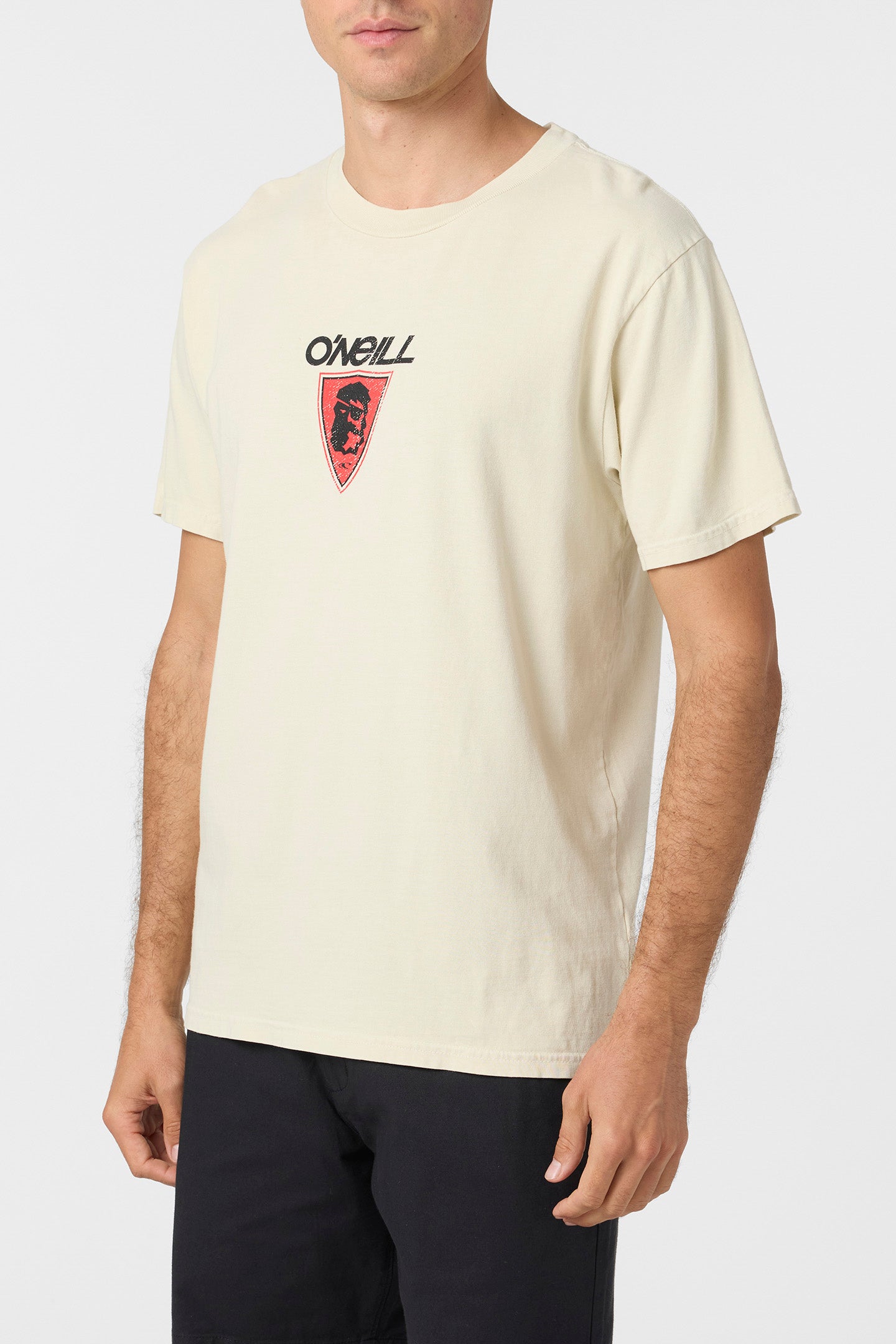 Askew Relaxed Fit Tee - O'Neill Clothing