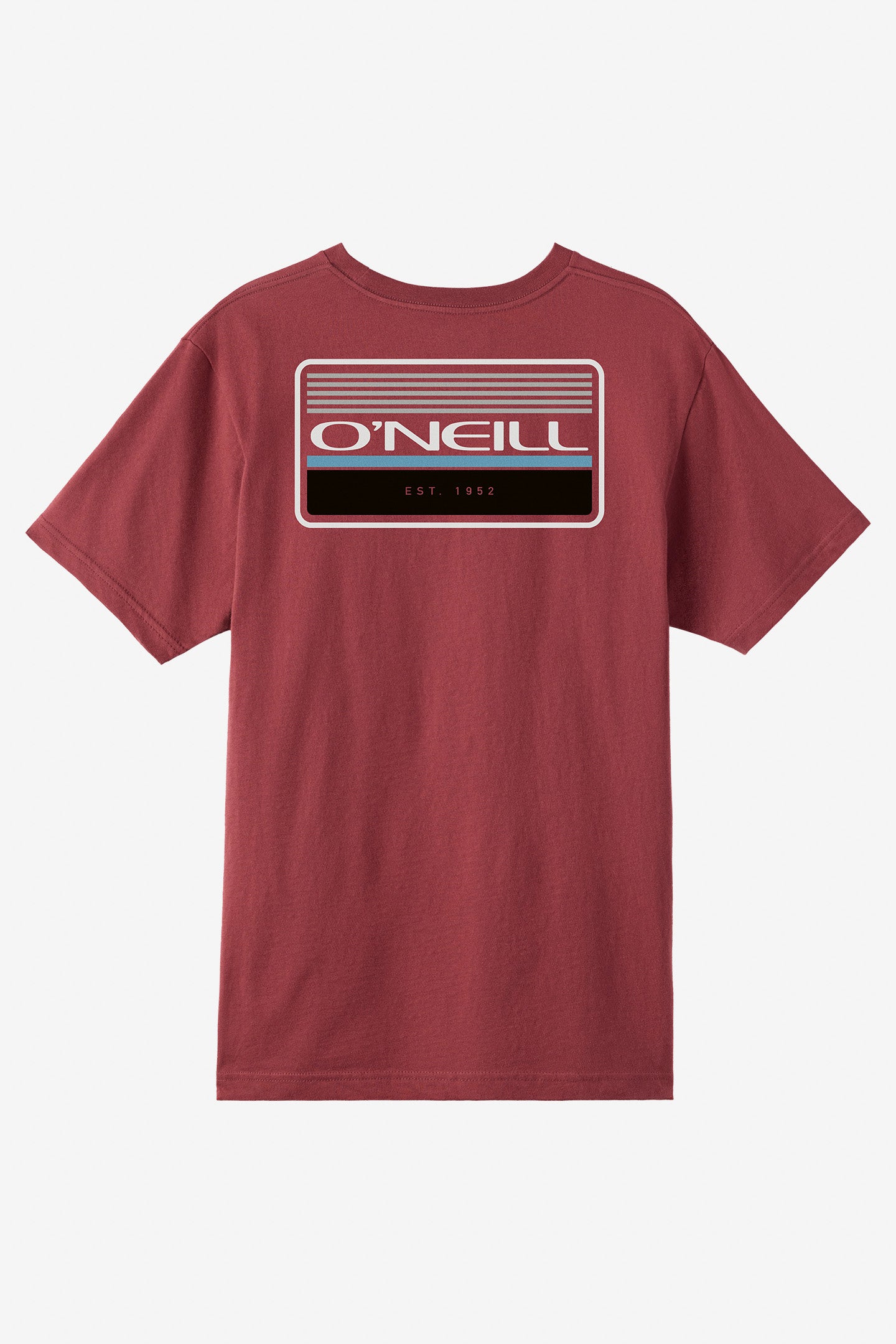 Banner Standard Fit Tee - O'Neill Clothing