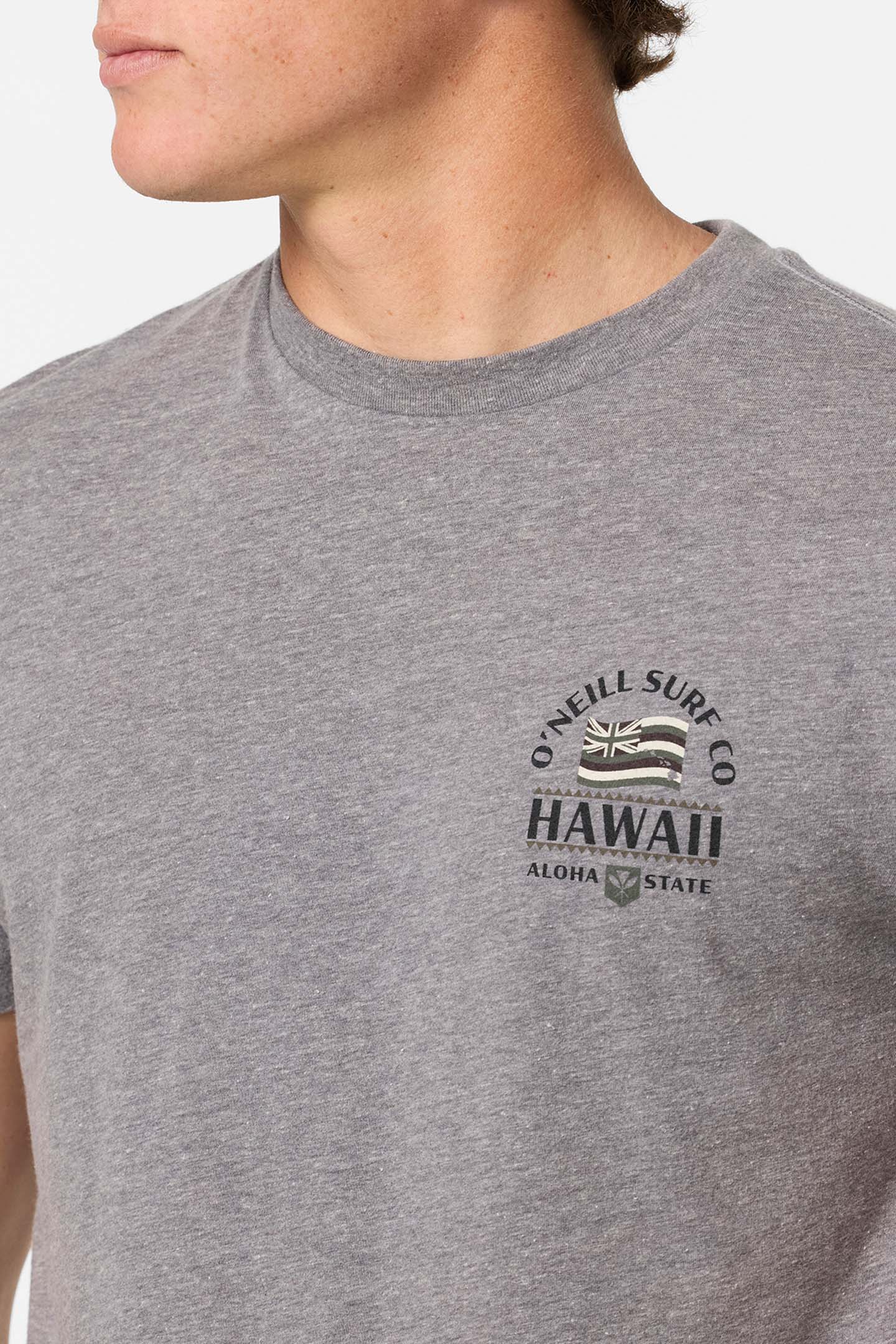 Hawaii Flag Standard Fit Tee - O'Neill Clothing